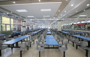 ‮شىنجاڭ سانائەت شۆيۈەنى ئاشخانىسى⁦خىزمەت-بىلىملىرى AI